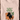 Funny T-shirts